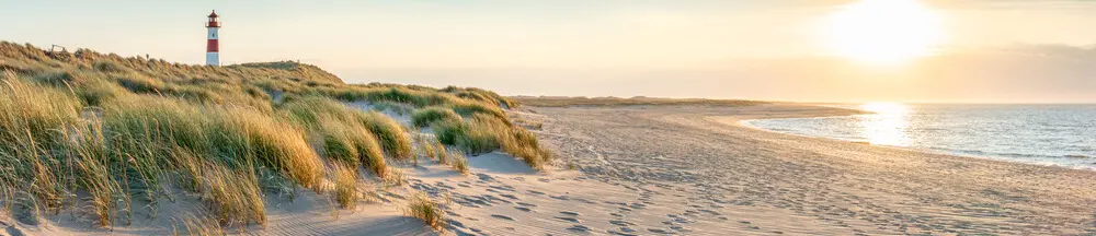Weite Küstenlandschaft auf Sylt